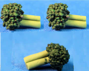 Broccoli- set of 3 (image for) Broccoli- set of 3