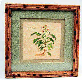McBay - Herb prints