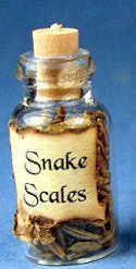 Snake scales