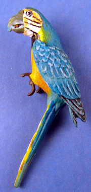 Macaw/parrot - large blue