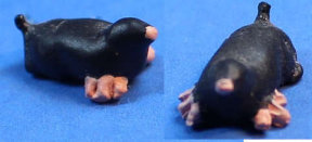 2 little moles (voles?) - Click Image to Close
