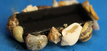 Seashell trinket tray