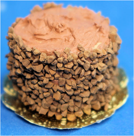 Chocolate cake with nuts