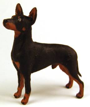 Manchester terrier dog - Click Image to Close