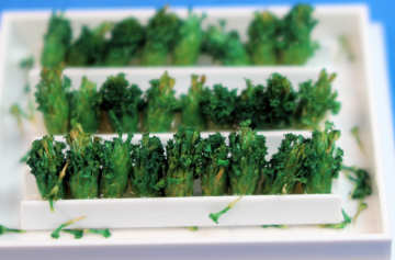 Food display trim strip