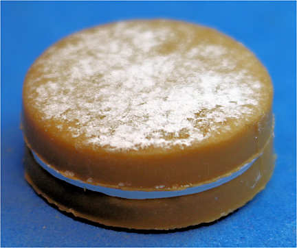 Cake - Layer sponge vanilla