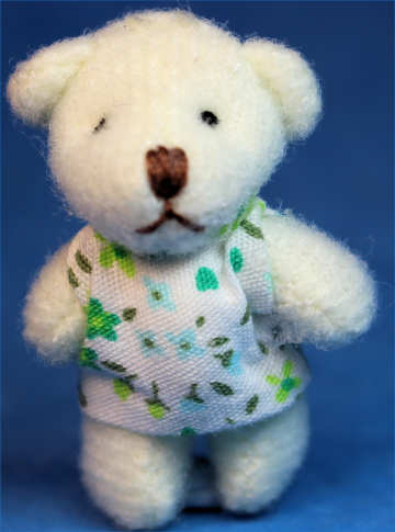 Stuffed animal - white teddy with dress