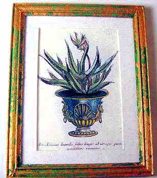 Plant in urn print