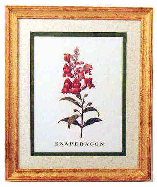 Snapdragon print