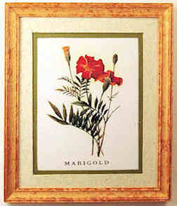 Marigold print