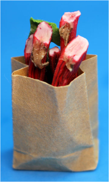 Bag of rhubarb by Linda Cummings