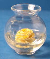 Rose floating in water