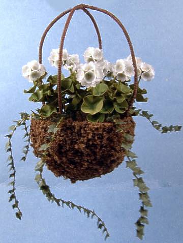 Hanging geraniums