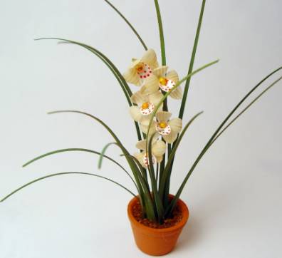 Orchid "L"