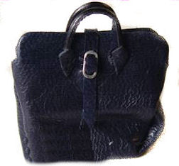 Briefcase or Doctor's bag