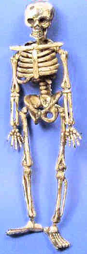 Old skeleton
