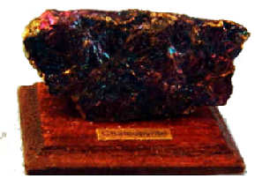 Chalcopyrite (peacock ore) on wood base - Click Image to Close