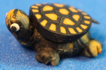 (image for) Turtle