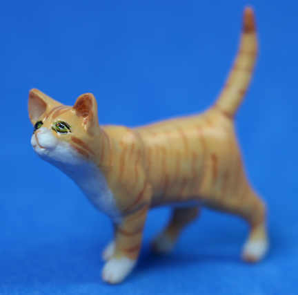 (image for) Cat standing