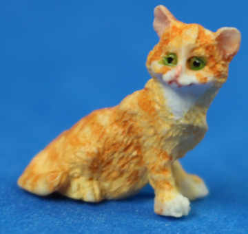 (image for) Kitten - ginger