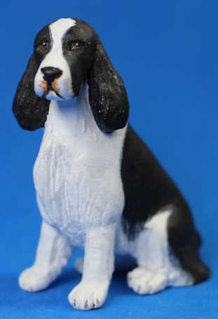(image for) Springer Spaniel sitting