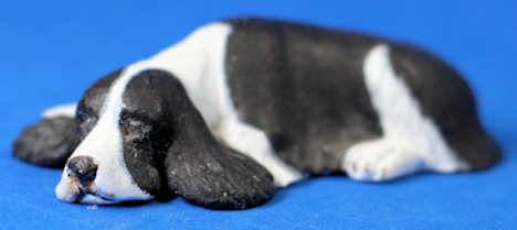 (image for) Springer Spaniel lying