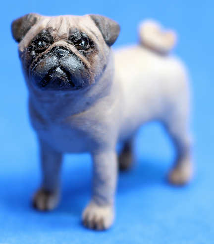 (image for) Pug