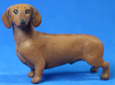 (image for) Red Dachshund
