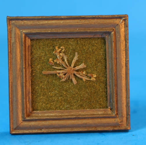 Framed dried flower