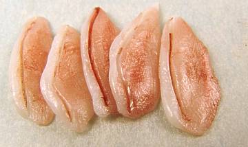 (image for) Bacon uncooked on paper