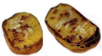 Garlic bread - 2 slices - Click Image to Close