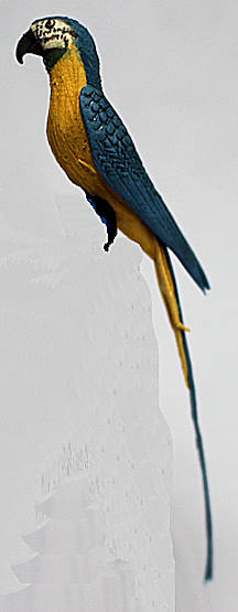 (image for) Macaw