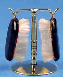 (image for) Men's accessories