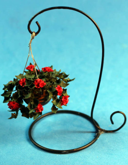 Geranium with hanger