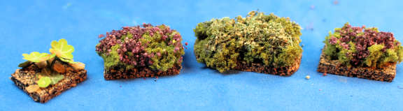 Bushes in soil - 1/2 scale - set of 4