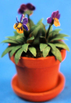 Pansies in pot - Click Image to Close