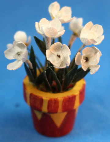 White flowers/colorful pot