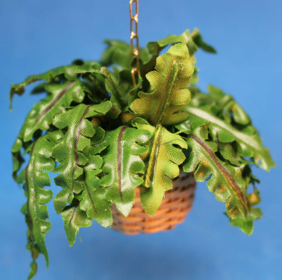 Hanging fern - woven basket - Click Image to Close