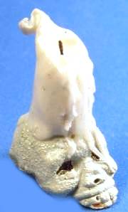 (image for) Skull candle