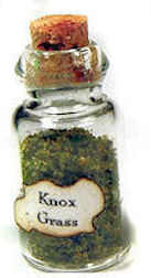 (image for) Knox grass