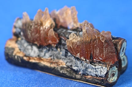 (image for) Embers