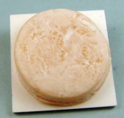 (image for) Brie cheese