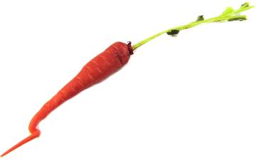 (image for) Carrot & top
