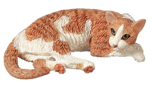 (image for) Cat - orange and white