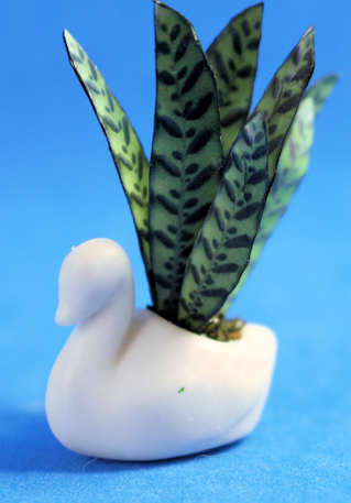(image for) Snake plant in swan planter