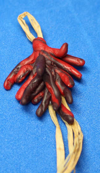 (image for) Hanging chili peppers