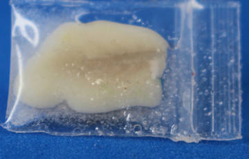 (image for) "Frozen" fish