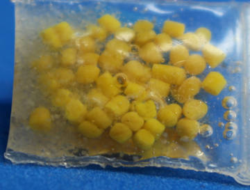 (image for) "Frozen" corn