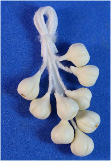 (image for) Garlic