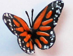 (image for) Butterfly - Monarch